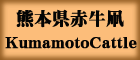 熊本県赤牛凧KumamotoCattle