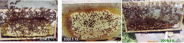 bg060311060512060904