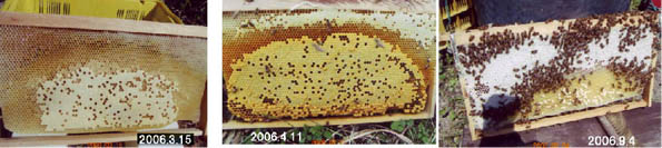 bg060315060411060904