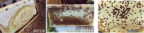 bg070318060804060512
