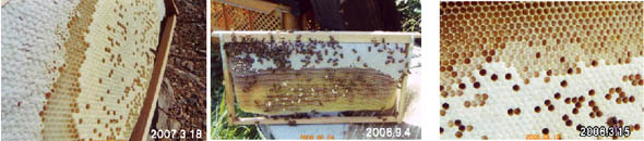 bg070318080904080315